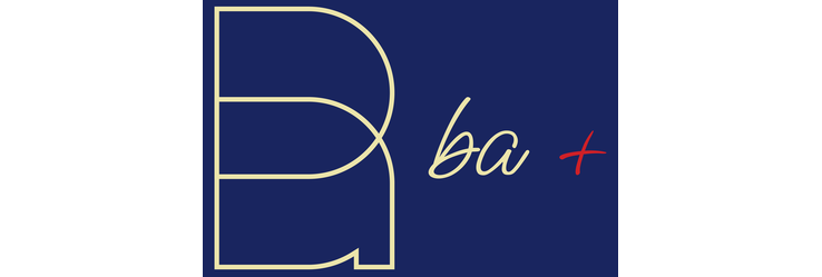 BA+ - overkoepelende organisatie voor NL-beroepsverenigingen
